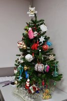 photo_2025-12-24_11-41-43