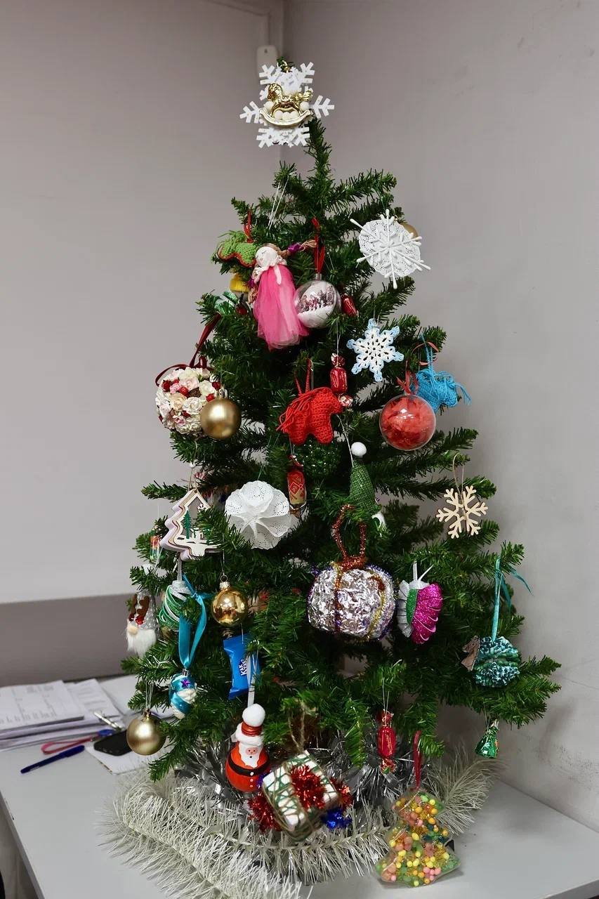 photo_2025-12-24_11-41-43