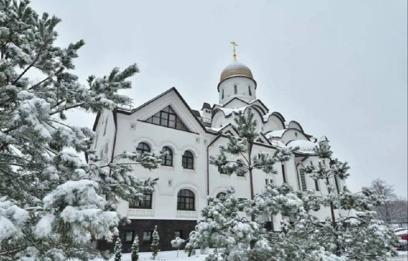 photo_2026-01-06_06-27-19