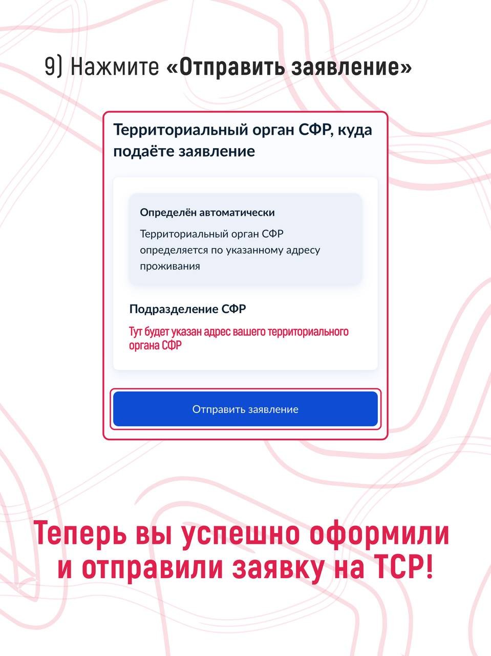 photo_2026-02-04_13-33-16 (1)